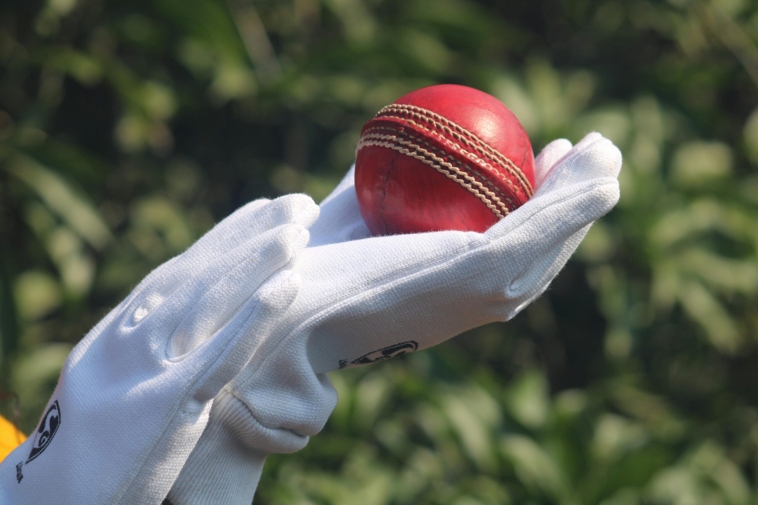Exciting Moment in Cricket Match